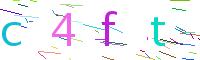 Verify Code