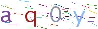 Verify Code