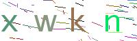 Verify Code