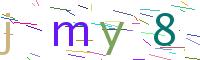 Verify Code