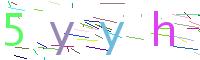 Verify Code