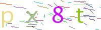 Verify Code