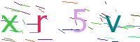 Verify Code