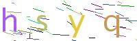 Verify Code