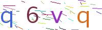 Verify Code