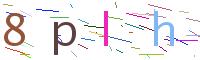 Verify Code