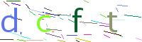 Verify Code