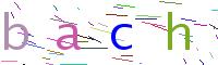 Verify Code