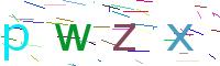 Verify Code