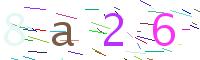 Verify Code