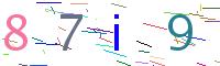 Verify Code
