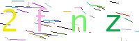 Verify Code
