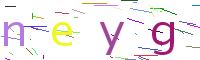 Verify Code