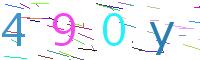 Verify Code