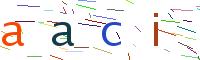 Verify Code