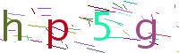 Verify Code