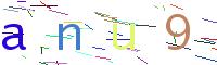 Verify Code