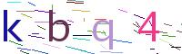 Verify Code