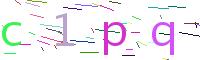 Verify Code