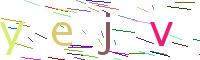 Verify Code