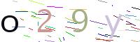 Verify Code