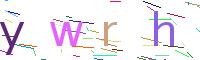 Verify Code