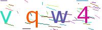 Verify Code