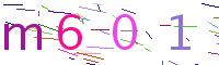 Verify Code