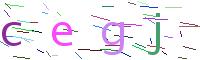 Verify Code
