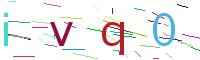 Verify Code
