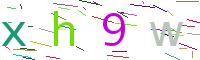 Verify Code