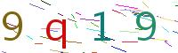 Verify Code