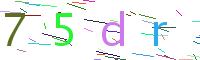 Verify Code