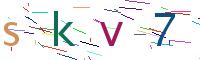 Verify Code
