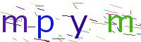 Verify Code