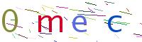 Verify Code