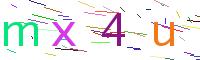 Verify Code