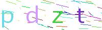 Verify Code