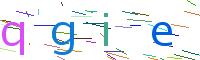 Verify Code