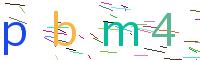 Verify Code