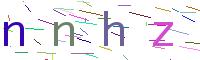 Verify Code