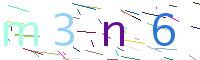 Verify Code
