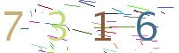 Verify Code