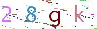 Verify Code