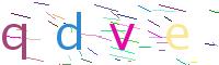 Verify Code