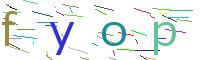 Verify Code