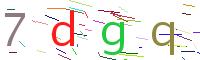 Verify Code