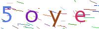 Verify Code