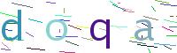 Verify Code