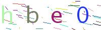 Verify Code